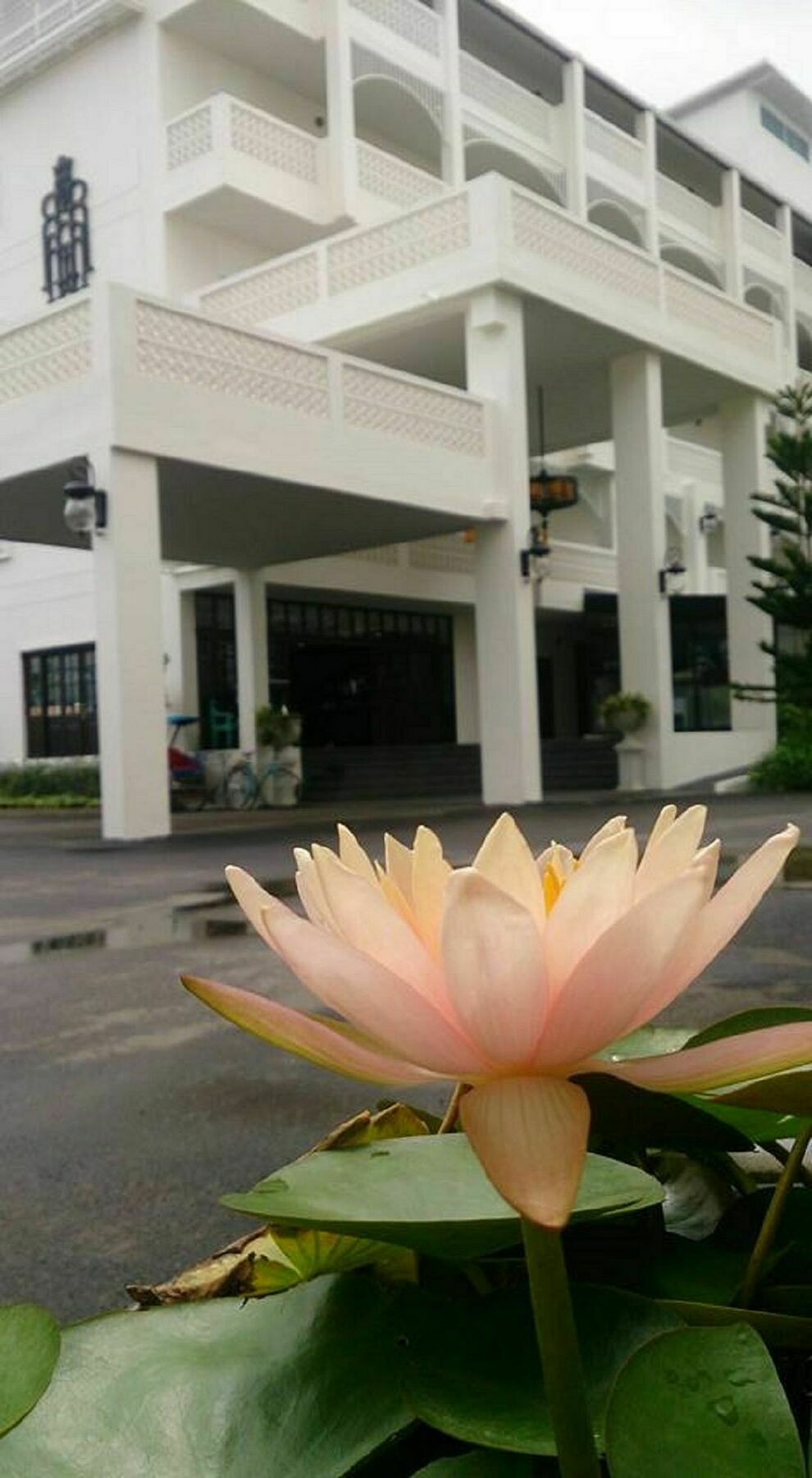 코라나리 코트야드 부티크 호텔 나콘라차시마 외부 사진